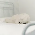 The Igloo Βίλα *