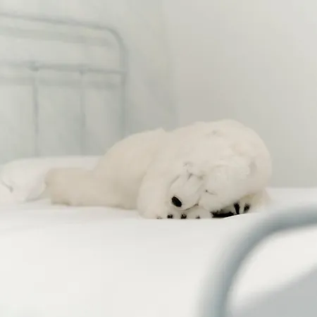The Igloo ヴィラ *